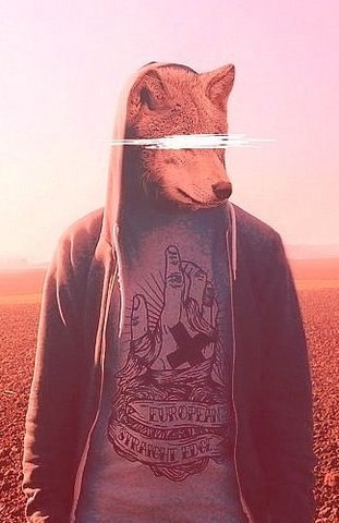 Николай Владимирович [CHE]SHEER | Киев