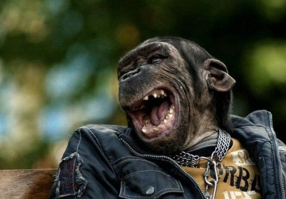 Вова Луконин | Киев