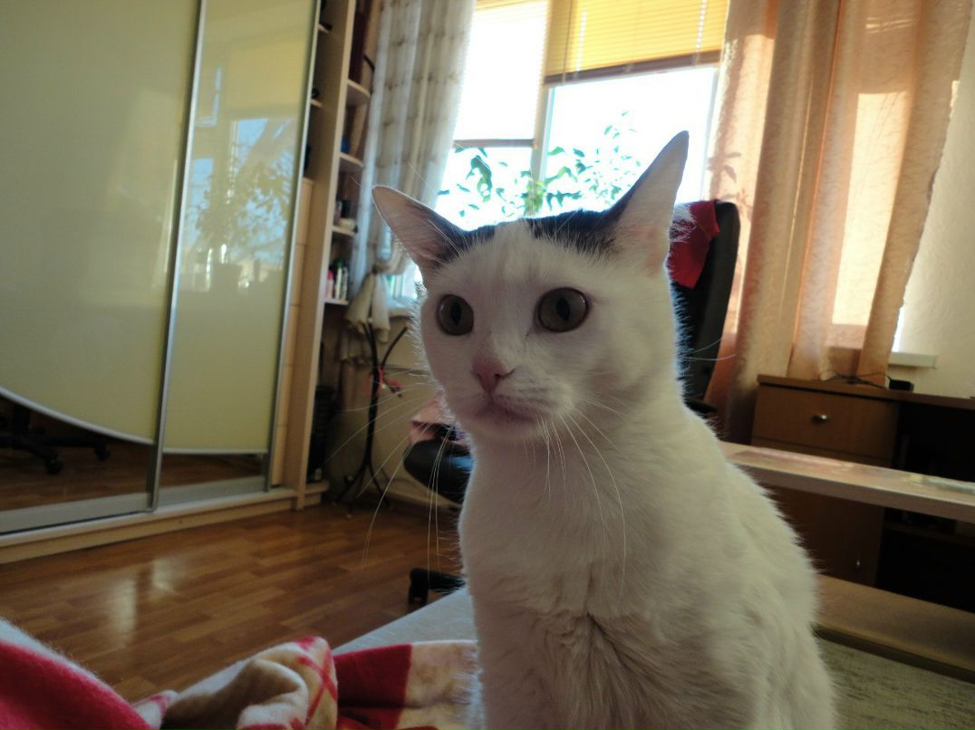 Катя Яроцкая | Киев