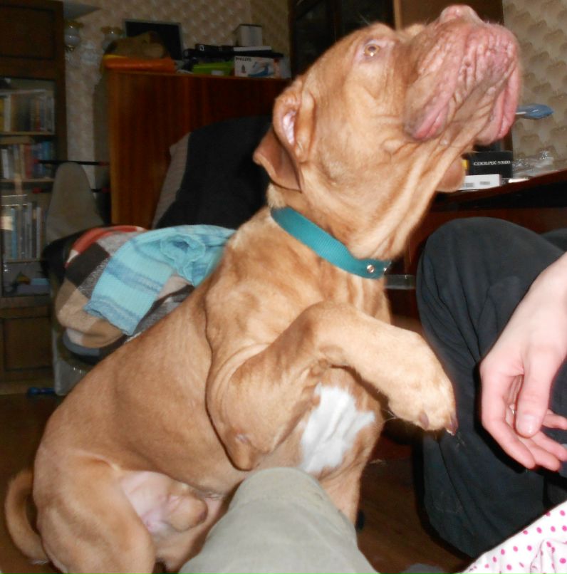 Владимир Султанов | Самара