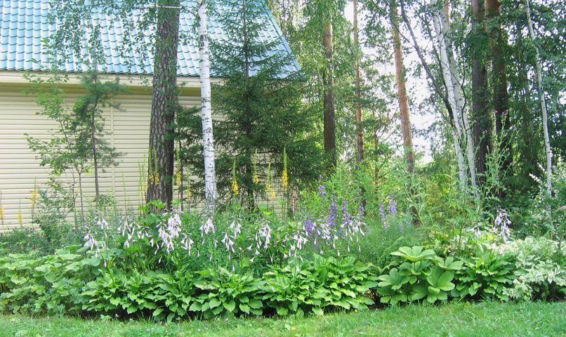 Мария Андреева | Екатеринбург