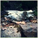 №1, Евгения Епихина, 19.9, Dubai, Объединенные Арабские Эмираты