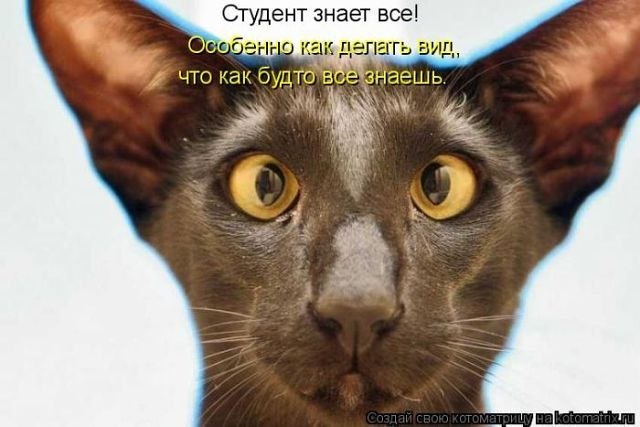 Елена Елена | Мурманск