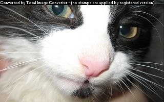 Максим Биканов | Набережные Челны