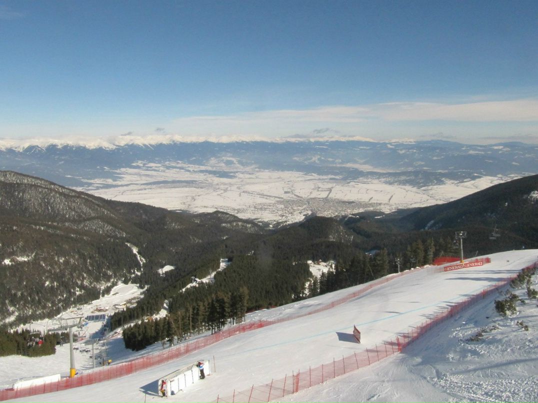 Mary Vtulkina *violet* | Люберцы