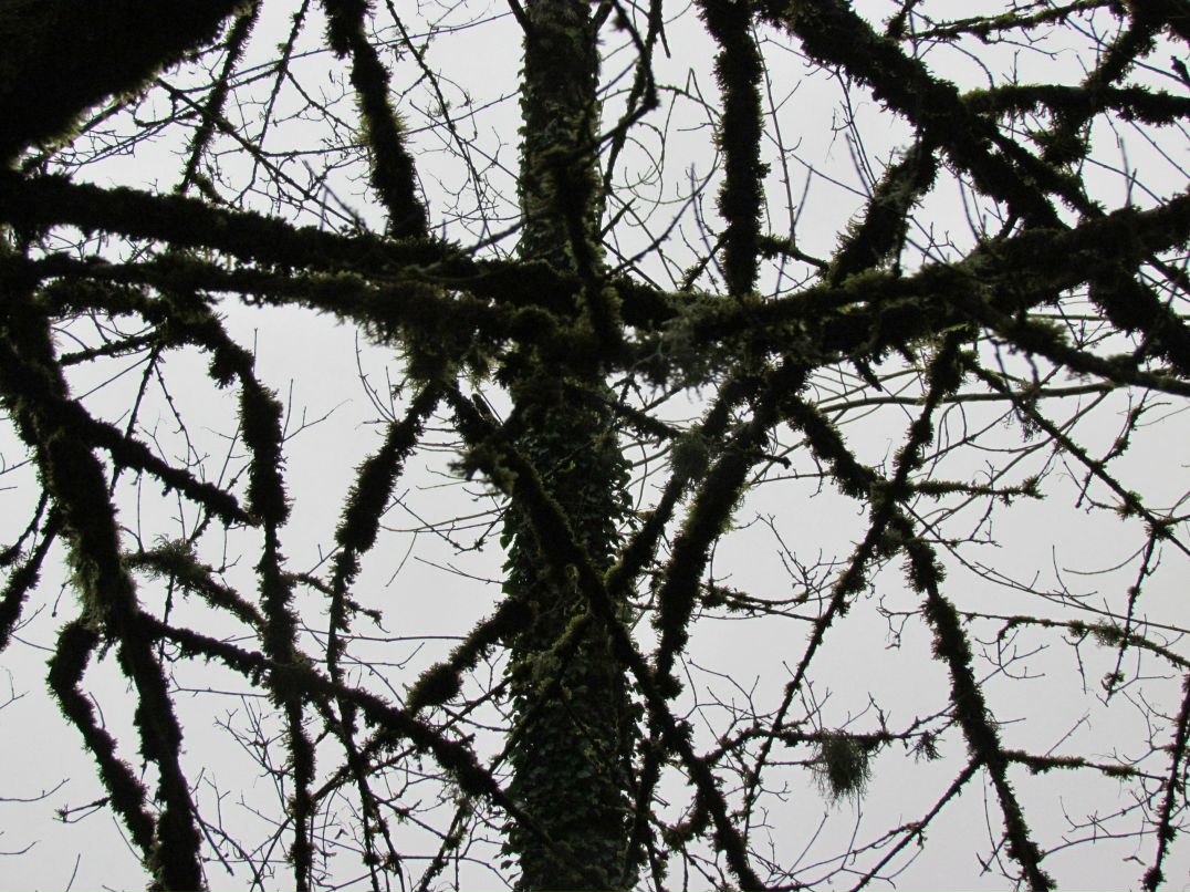 Вячеслав Патрин | Волгоград