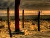 Дмитрий Шагров | Санкт-Петербург