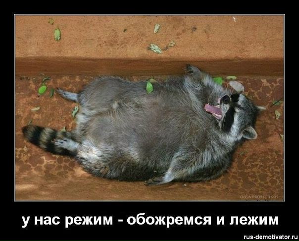 №12, Валера Лякишев №12, Валера Лякишев