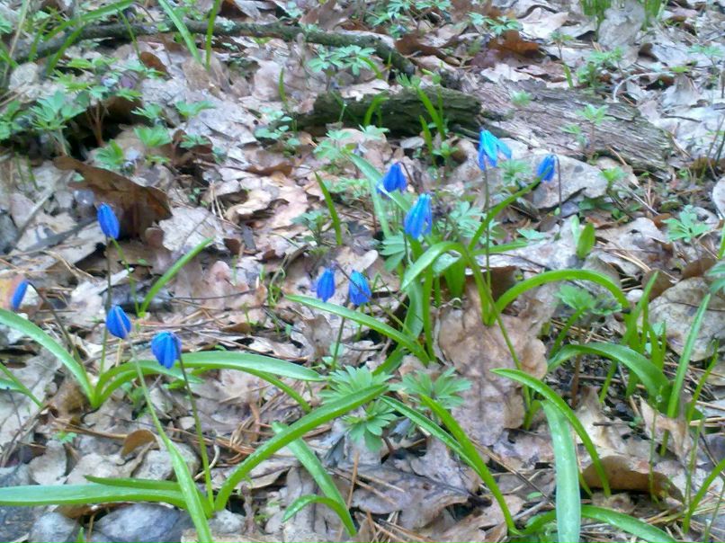 Александра Нагинская | Харьков