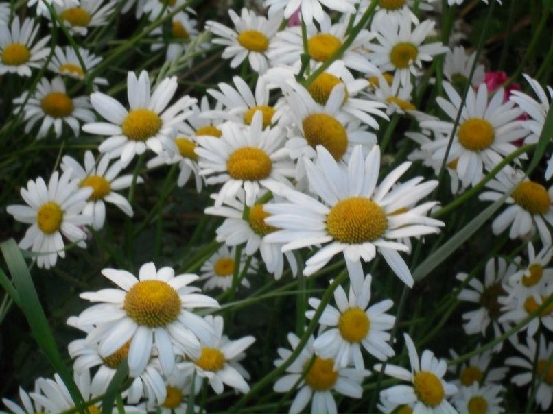 Виктория Охотина | Нижний Новгород