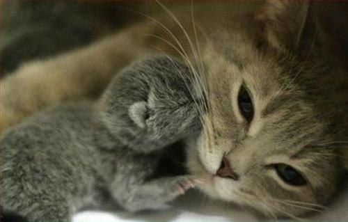 №45, Кристина Буш, 32 года, Лобня №45, Кристина Буш, 32 года, Лобня