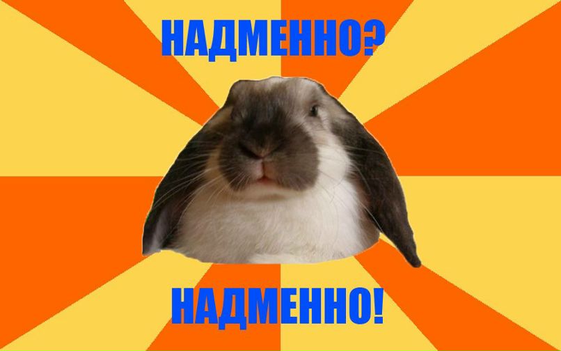 Андрей Ползунов | 