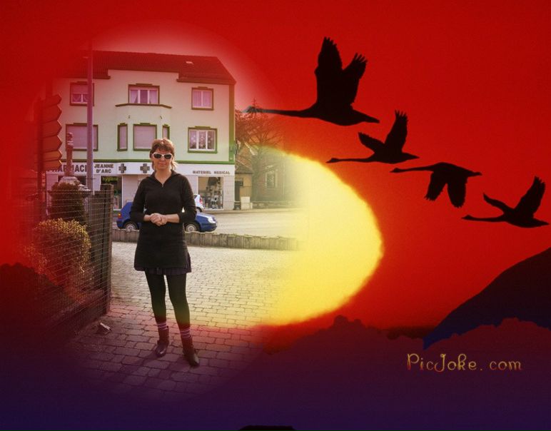 №12, Елена Шёнфельд, Москва №12, Елена Шёнфельд, Москва