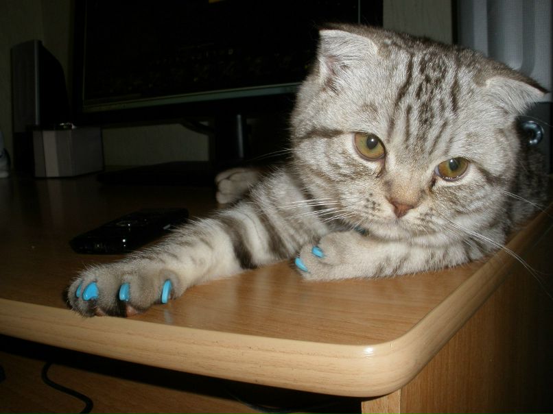 Александр Демченко | Ноябрьск