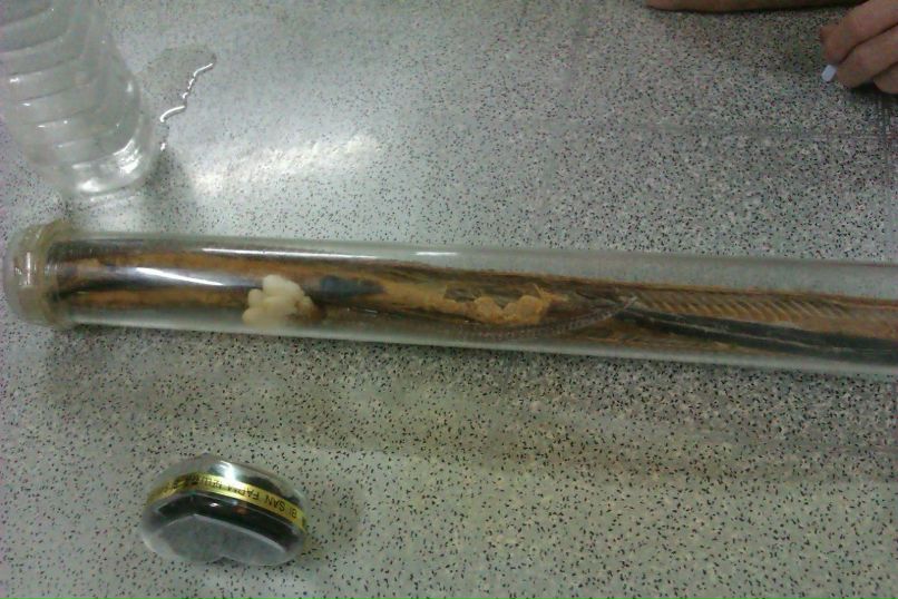 Александр Пак Пакость | Киев