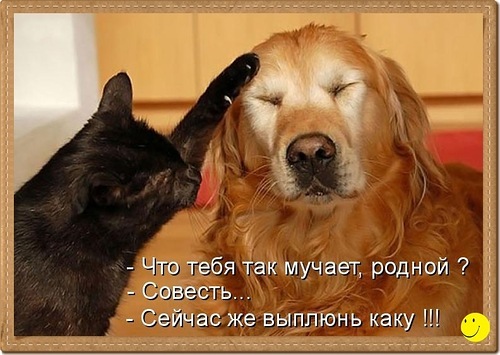 №10, Nonamed Nonamed, 43 года, Курган №10, Nonamed Nonamed, 43 года, Курган