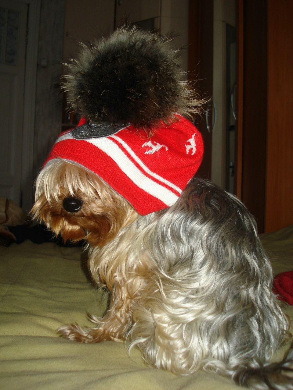 Анна Ситникова | Санкт-Петербург