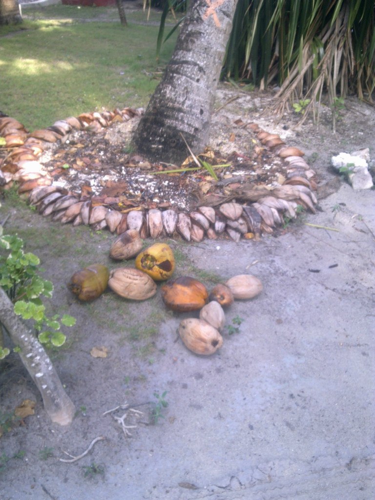 Юлия Закарина | Самара