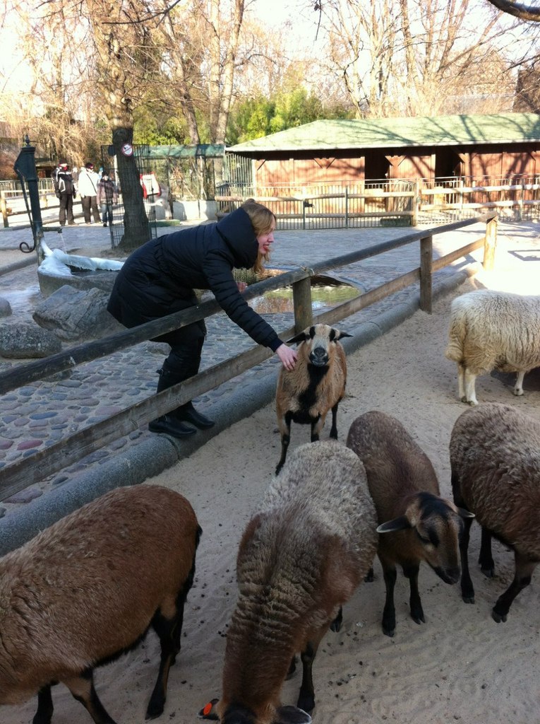Дария Волынская | 