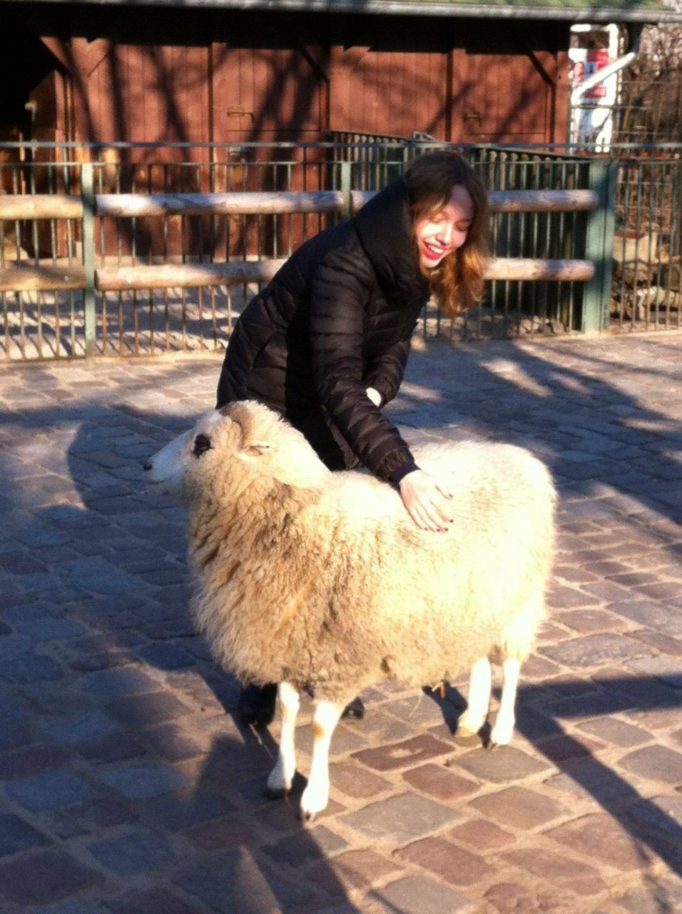 Дария Волынская | 