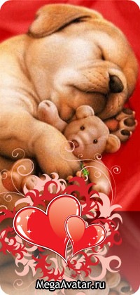 №1, Мариша Пичкалева №1, Мариша Пичкалева