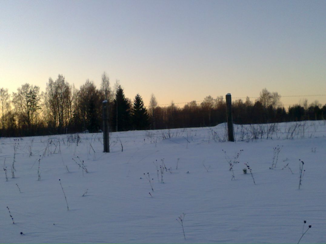 Антон Меркульев <fenix_4> | Пикалево