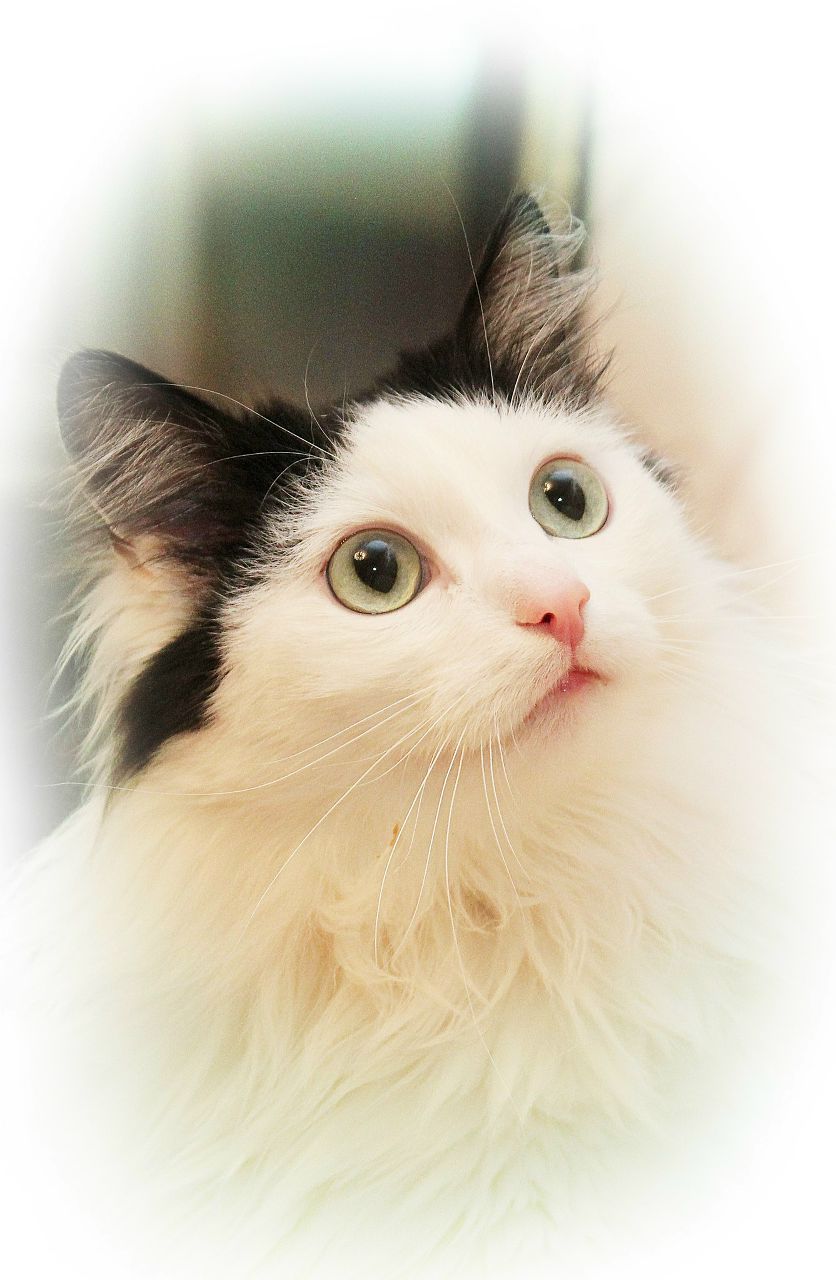 Роман Абраменко | Томск