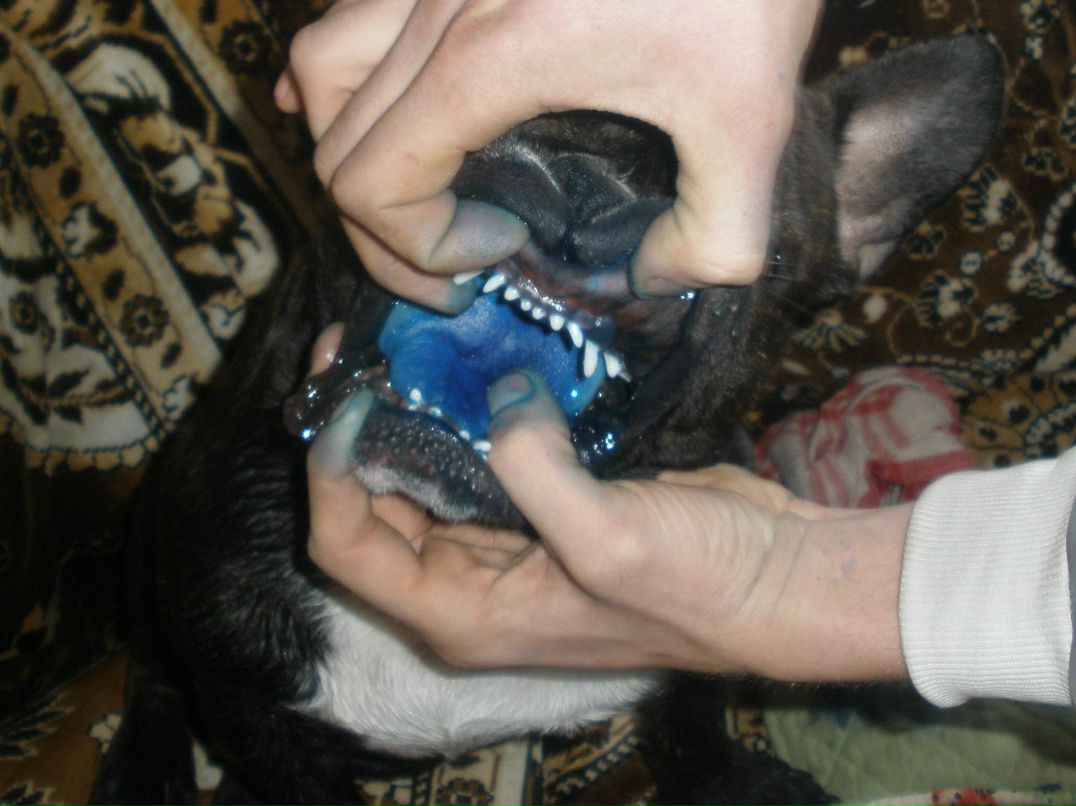 Денис Гончаров | Курахово