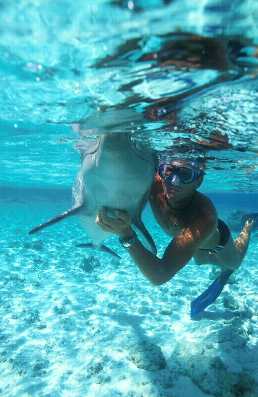 Денис Платковский | Sharm el-Sheikh