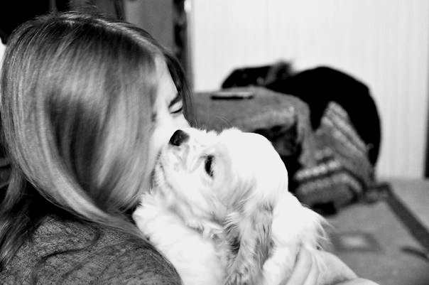 Лиза Сорока | Хмельницкий