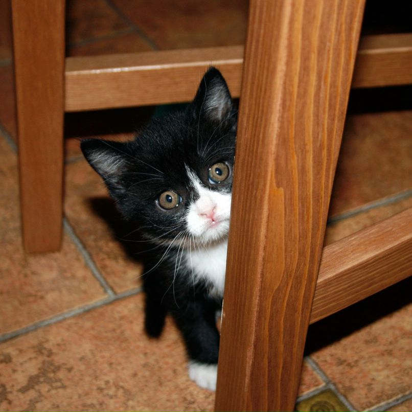 Ирэн Михайлова | Санкт-Петербург