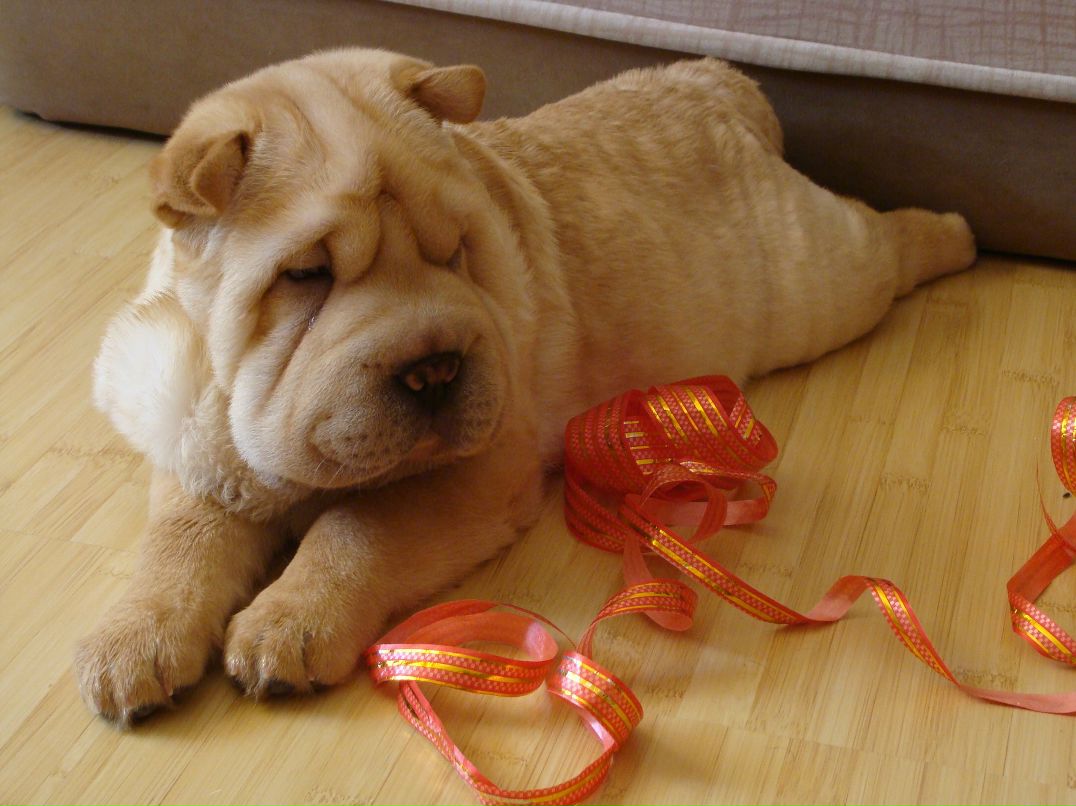 Ольга Пахомова | Оренбург