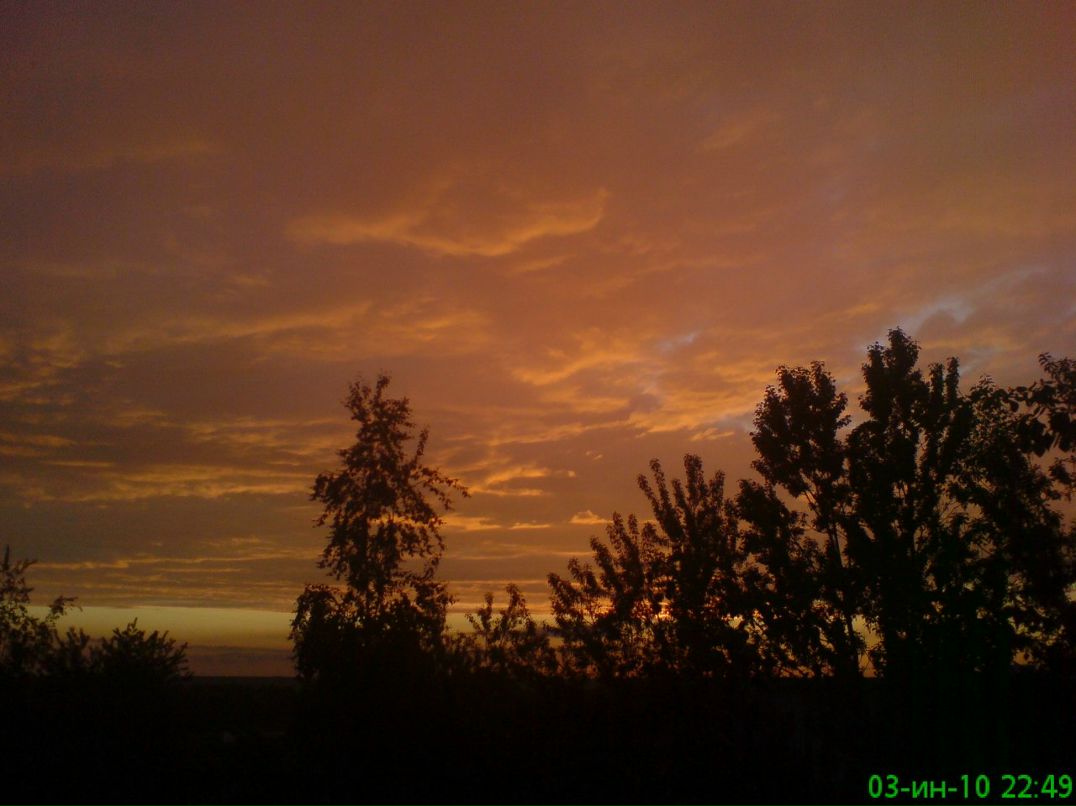 Александр Ведясов [Nobu]х[Нагаси] | 