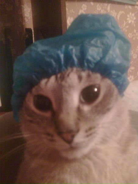 №88, Дмитрий Ярош-Дэмас, 41 год, Москва №88, Дмитрий Ярош-Дэмас, 41 год, Москва