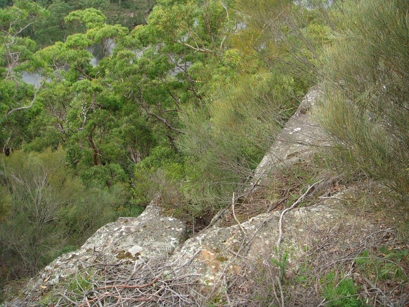 Людмила Лаптенок | Санкт-Петербург