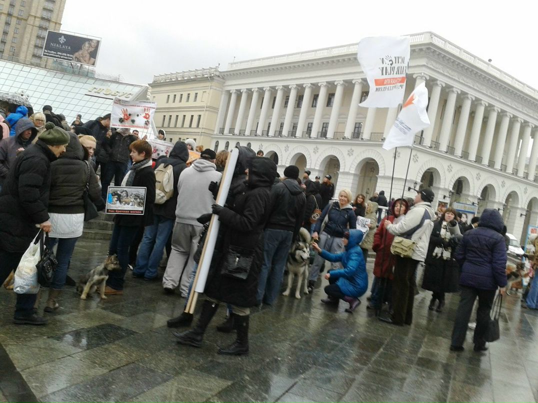 Ольга Циркун KNAGINA | Киев