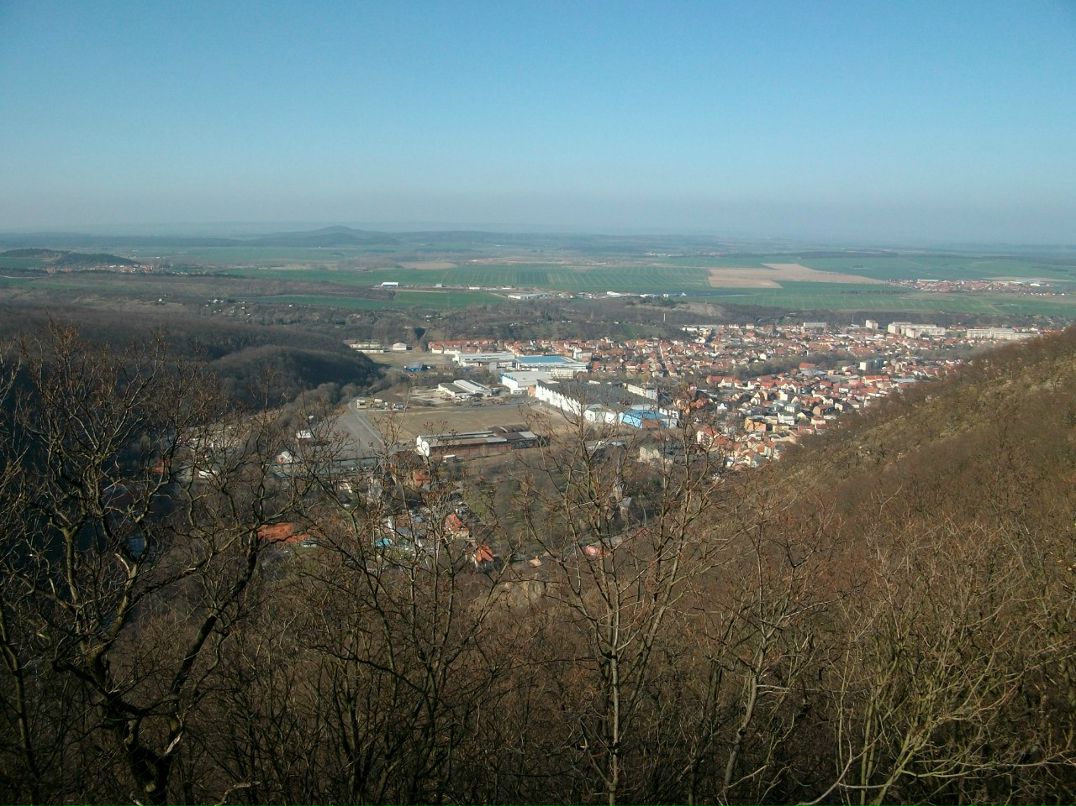 Олеся Масликевич | Калуш