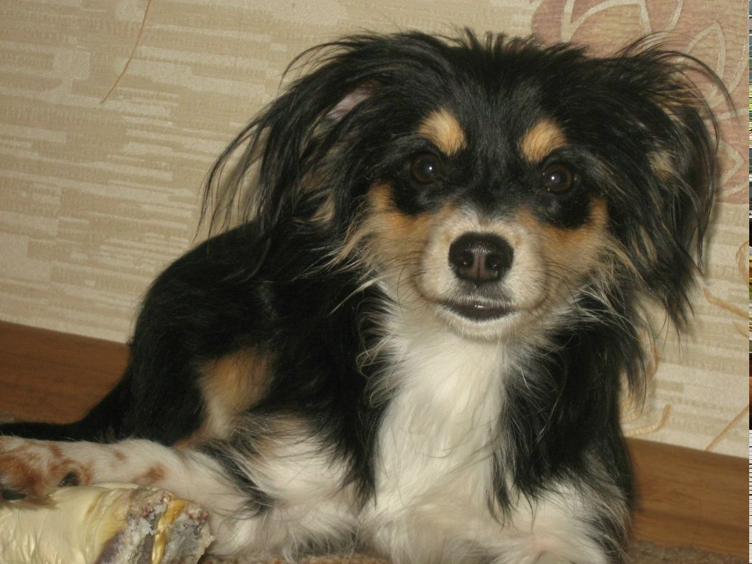 Светлана Алдунова | Санкт-Петербург