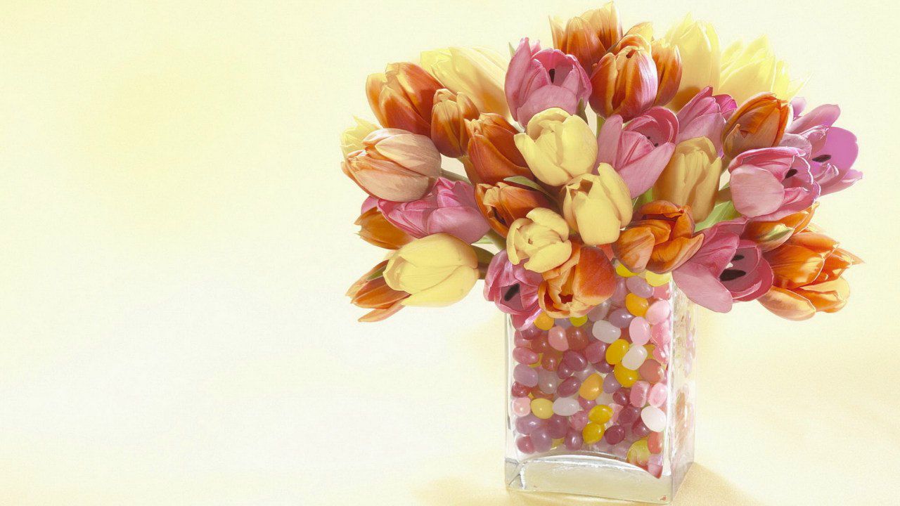 Елизавета Мерко | Белгород