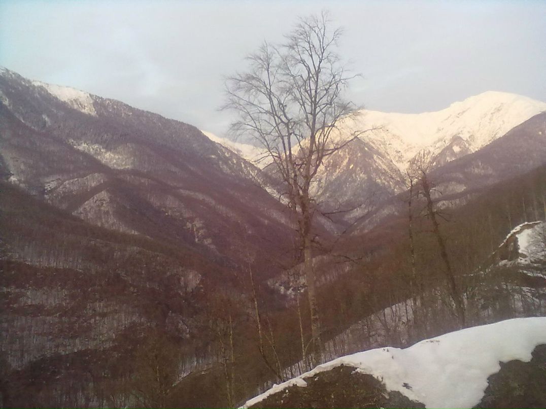 Денис Цыганков | Воронеж