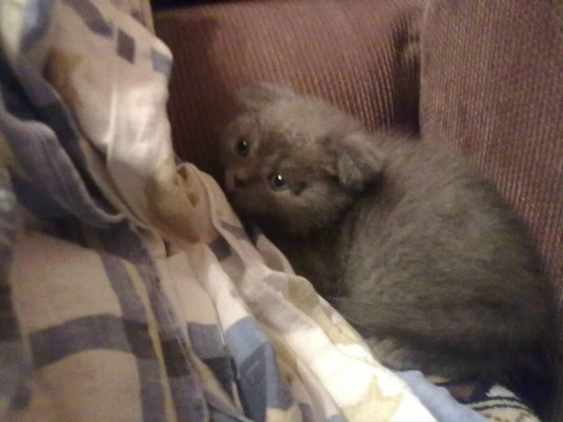 Владимир Хромых <<-Позитивчик->> | Химки