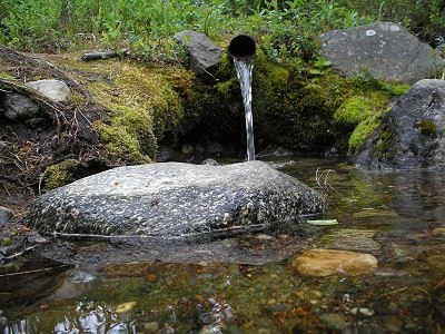 Алеша Колин | 