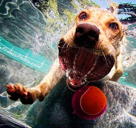 Тимур Рустемов | Алматы