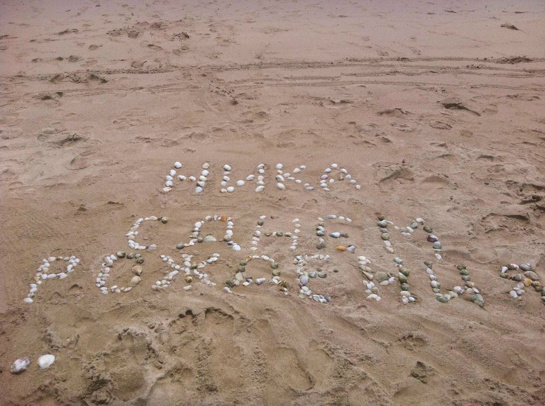 Вероника Мартынова | Москва