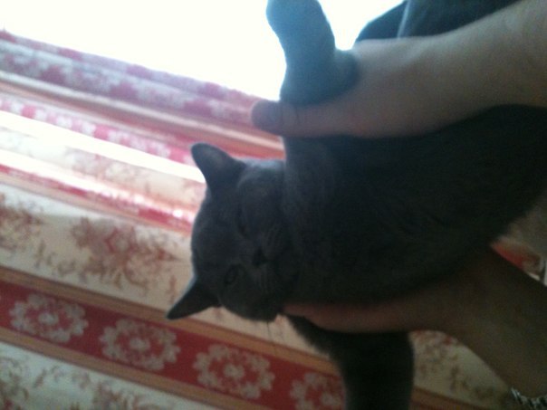 Виталий Сергеевич | Москва