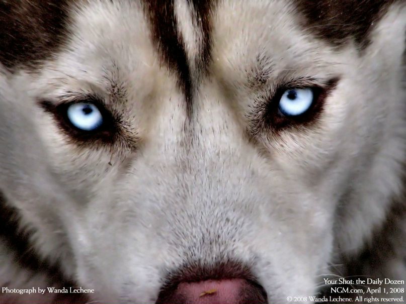 Nastya Tulek-Gureeva | Toronto