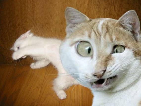 №59, Денис Фолитовский, 16 лет, Пенза №59, Денис Фолитовский, 16 лет, Пенза