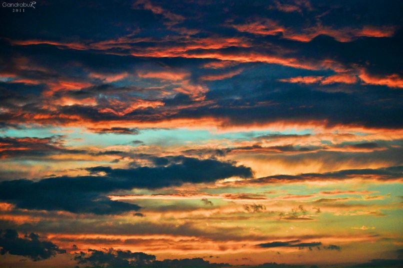 Tanea Gandrabur | Бельцы