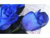 Ирина Жвачкина | Екатеринбург