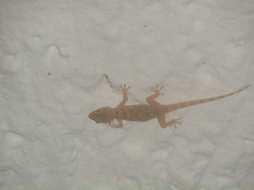 Лилиана Воробьёва | Кириши